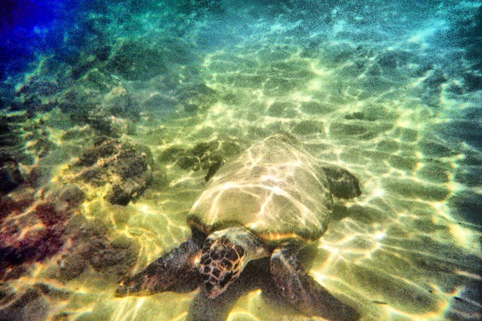 Alkionis Beach Stavromenos Dış mekan fotoğraf